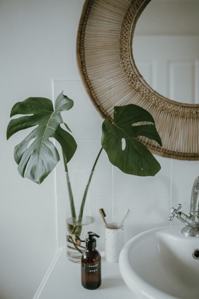 Boho coastal bathroom with wicker mirror and plant